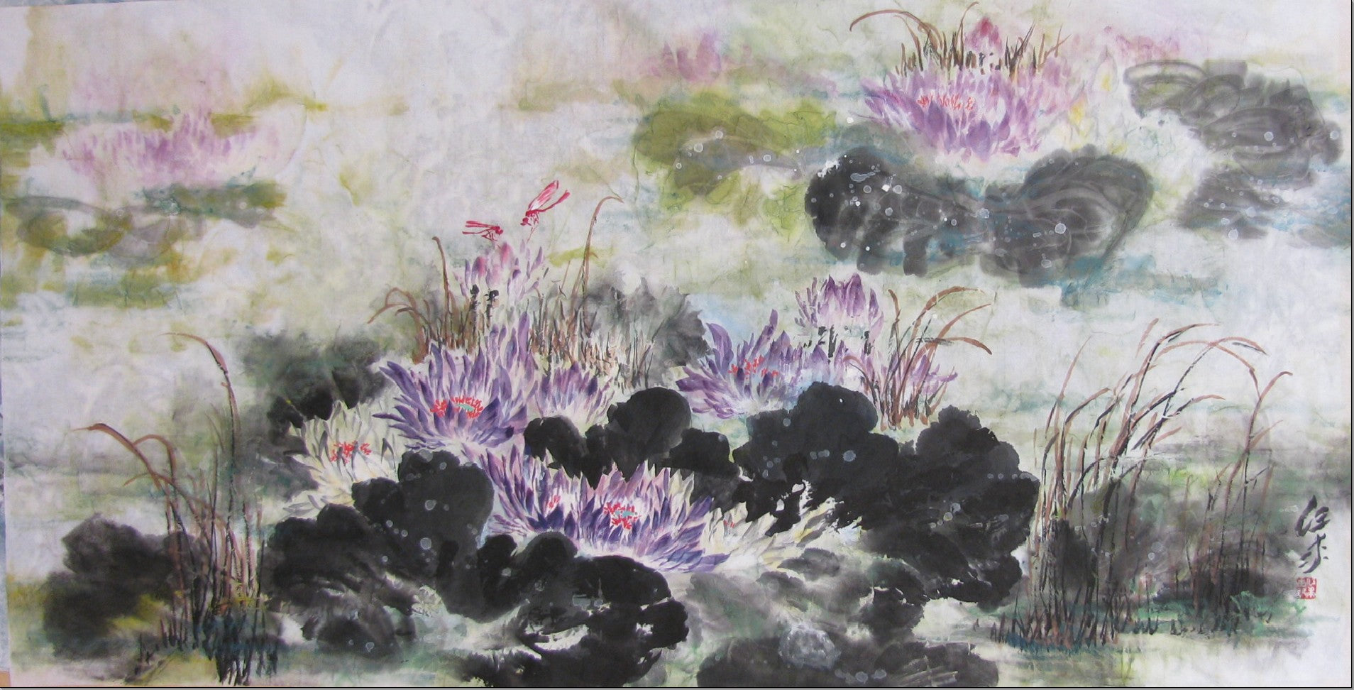红蜓恋紫莲