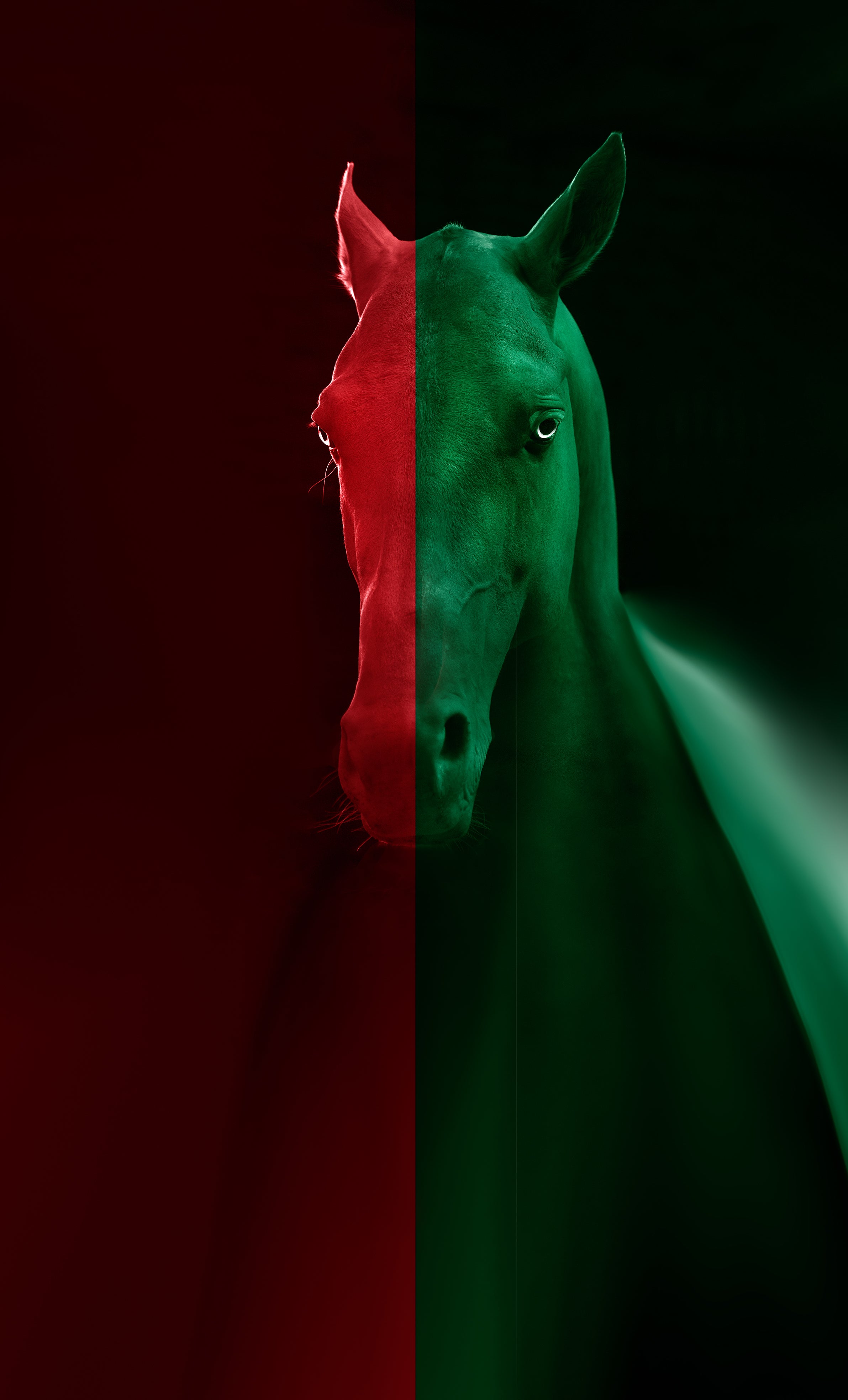 Dual Essence