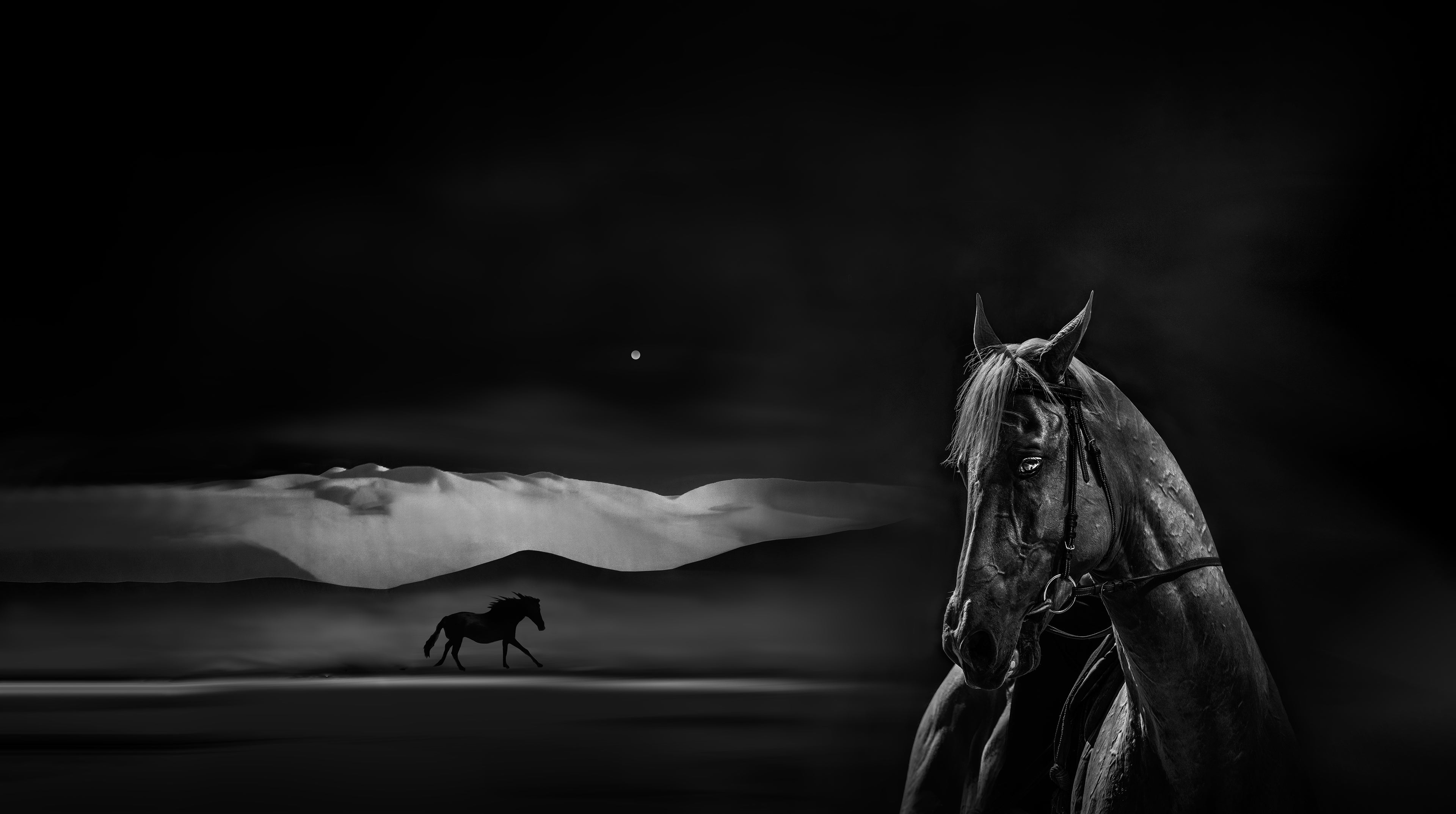 Silent Grace Endless Journey