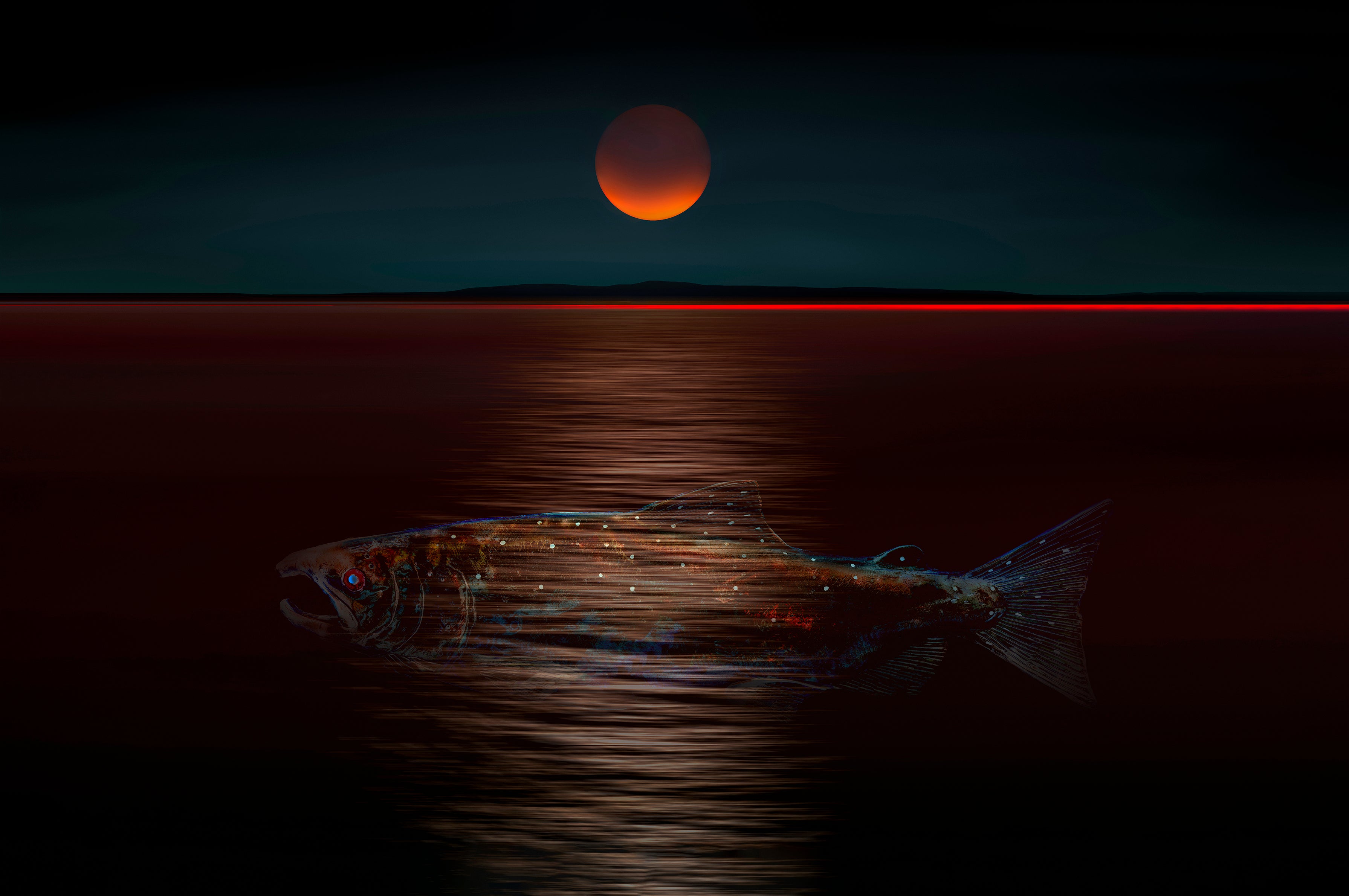 The moon rises in the sea