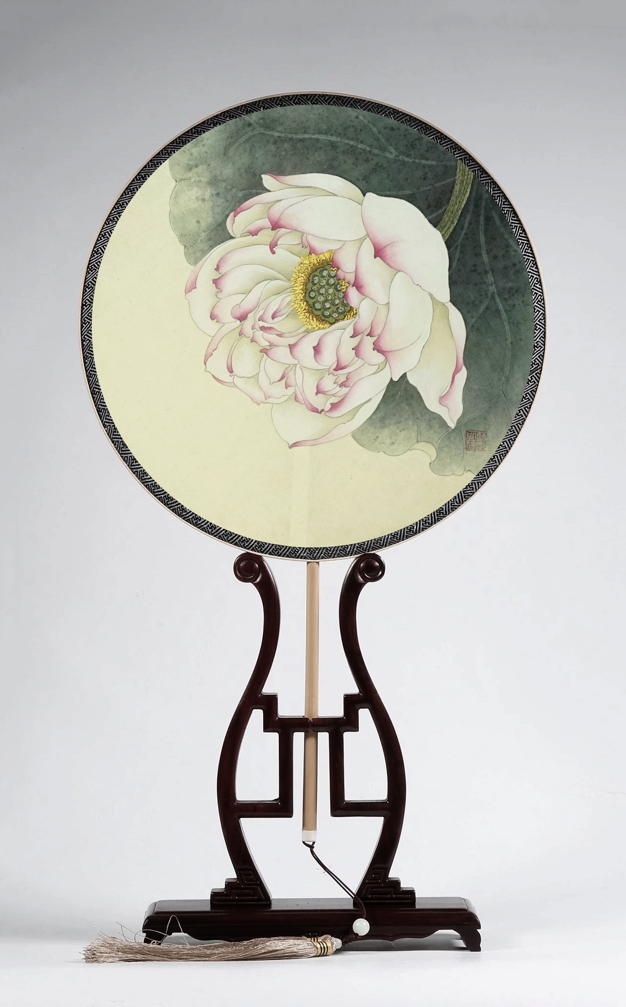 Lotus 荷花