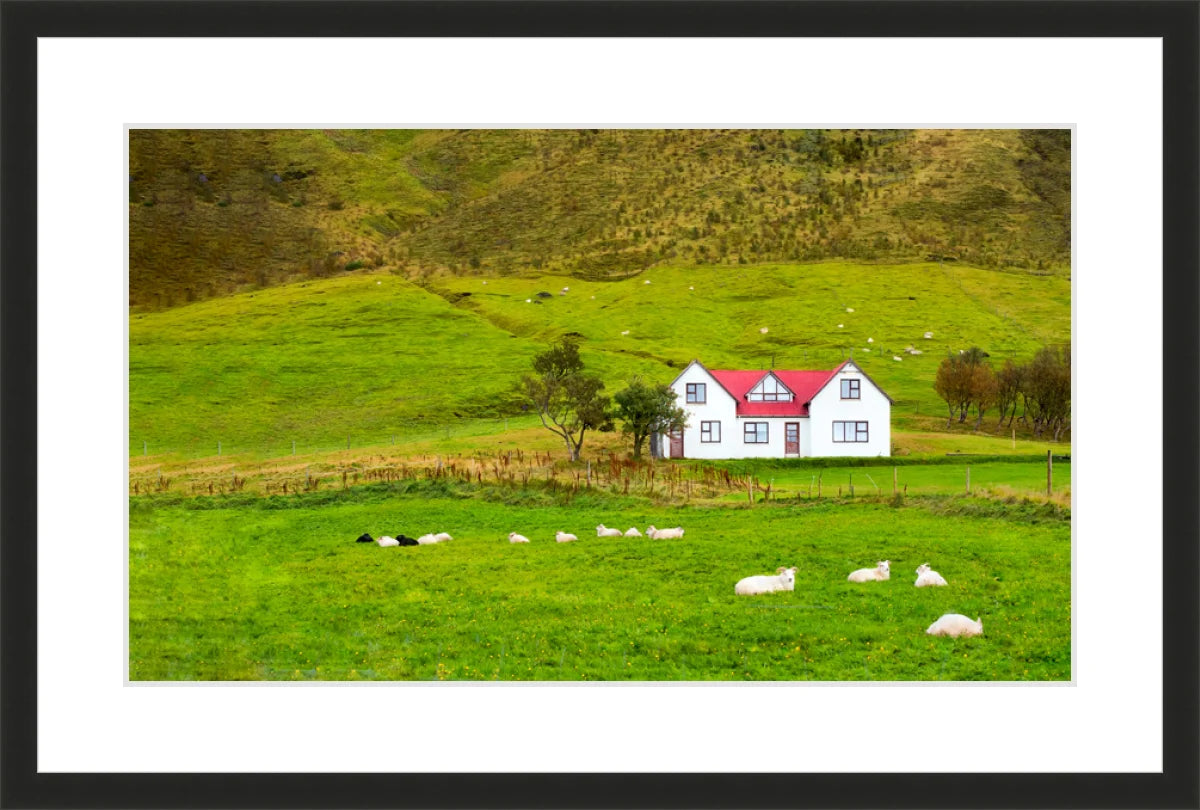 Hillside in Norway