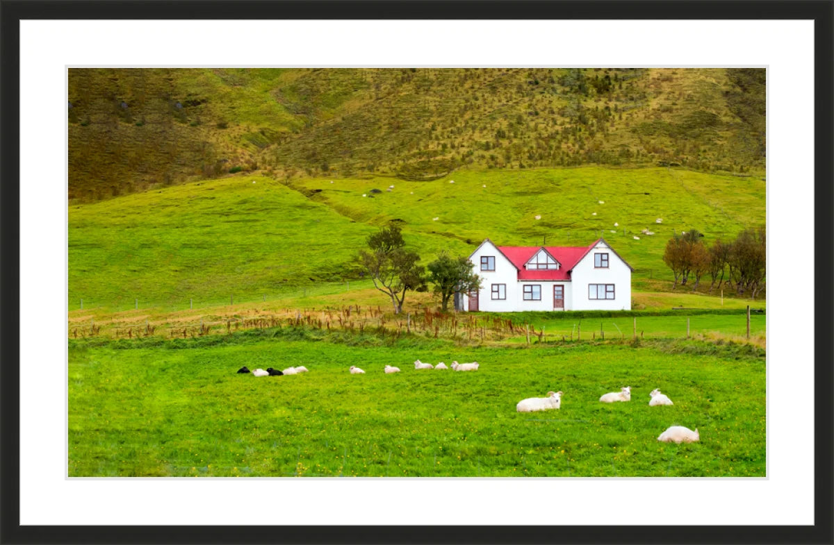 Hillside in Norway