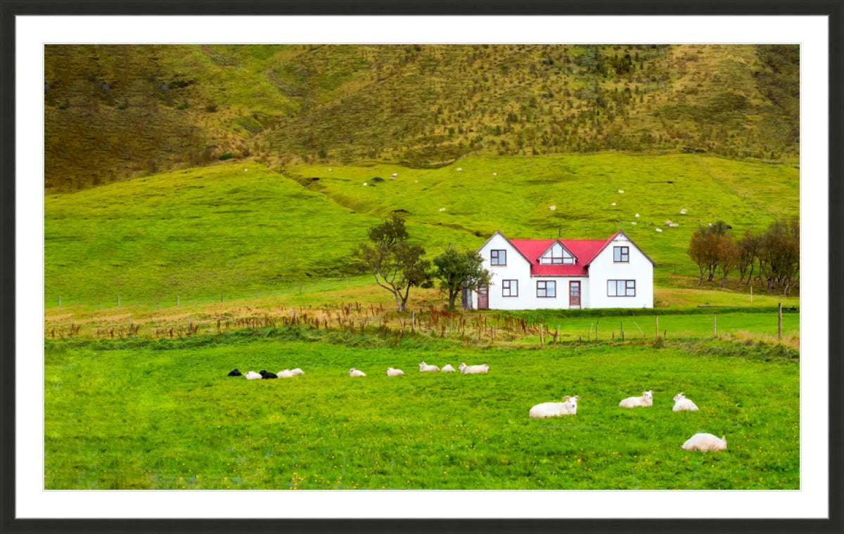Hillside in Norway