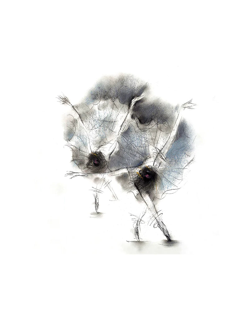 Ballerina 3 芭蕾舞者3