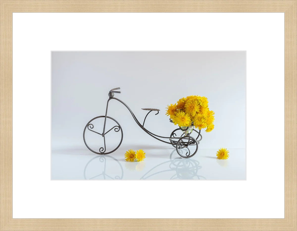 Bike with Flowers