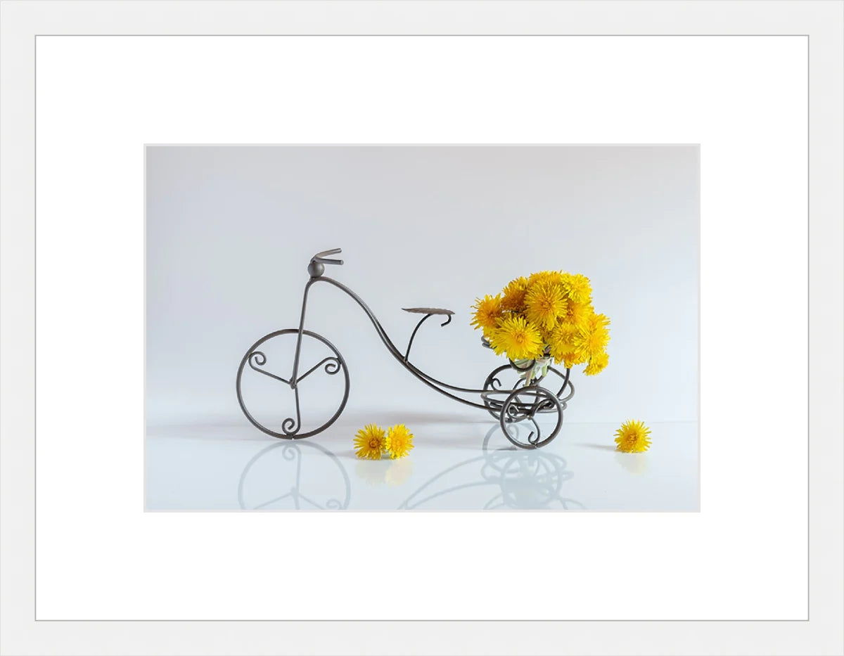 Bike with Flowers