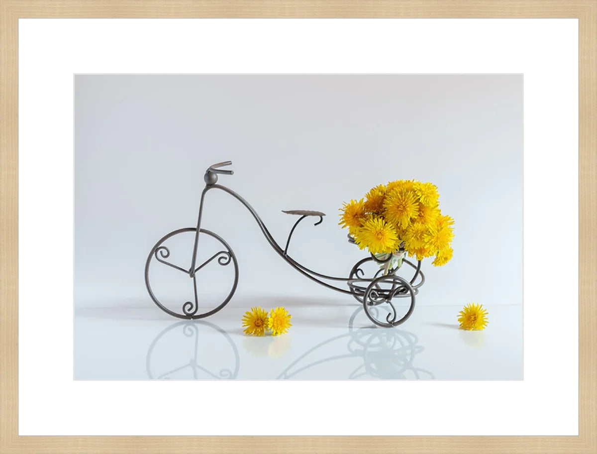 Bike with Flowers