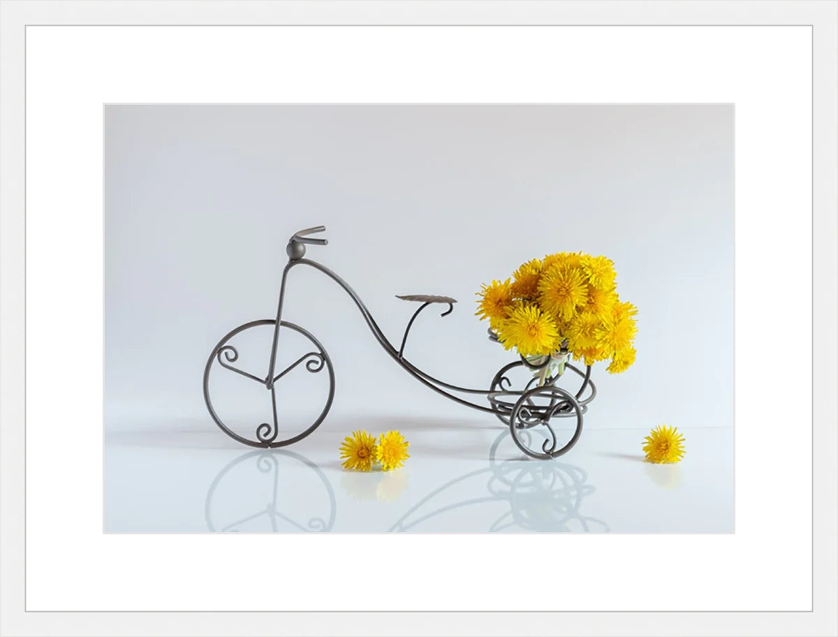 Bike with Flowers
