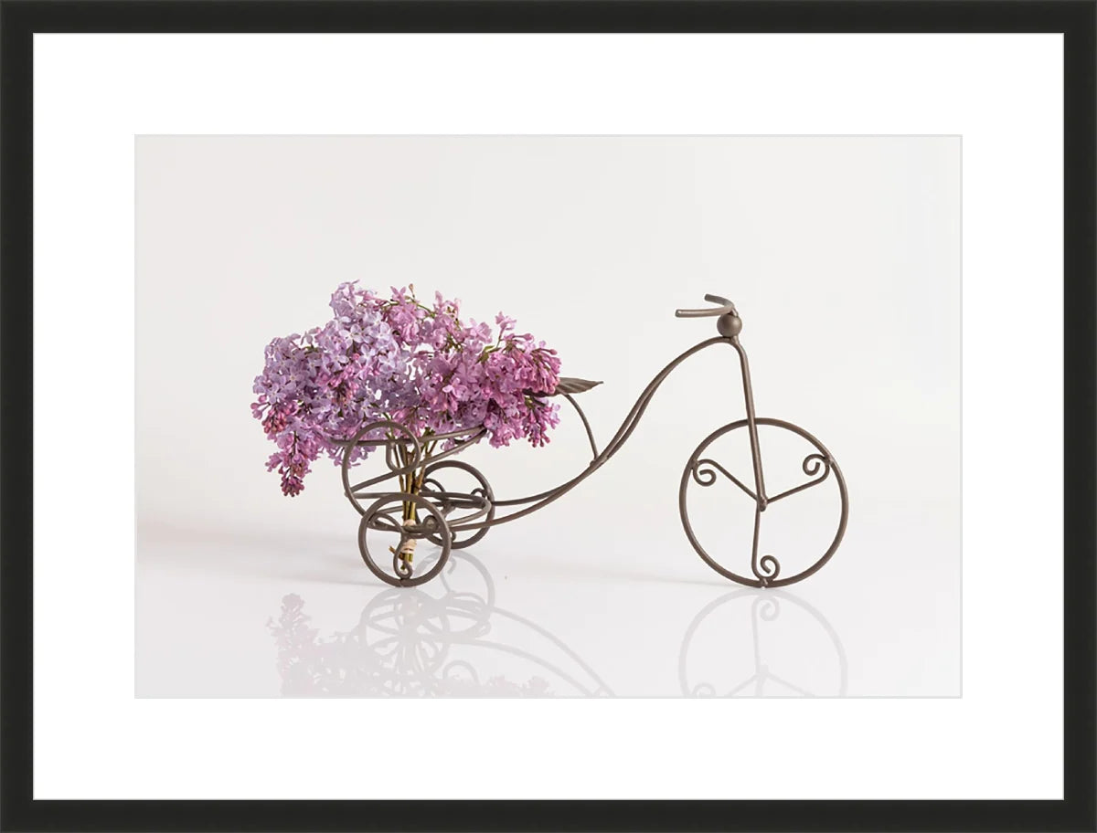 Bike with Flowers 2
