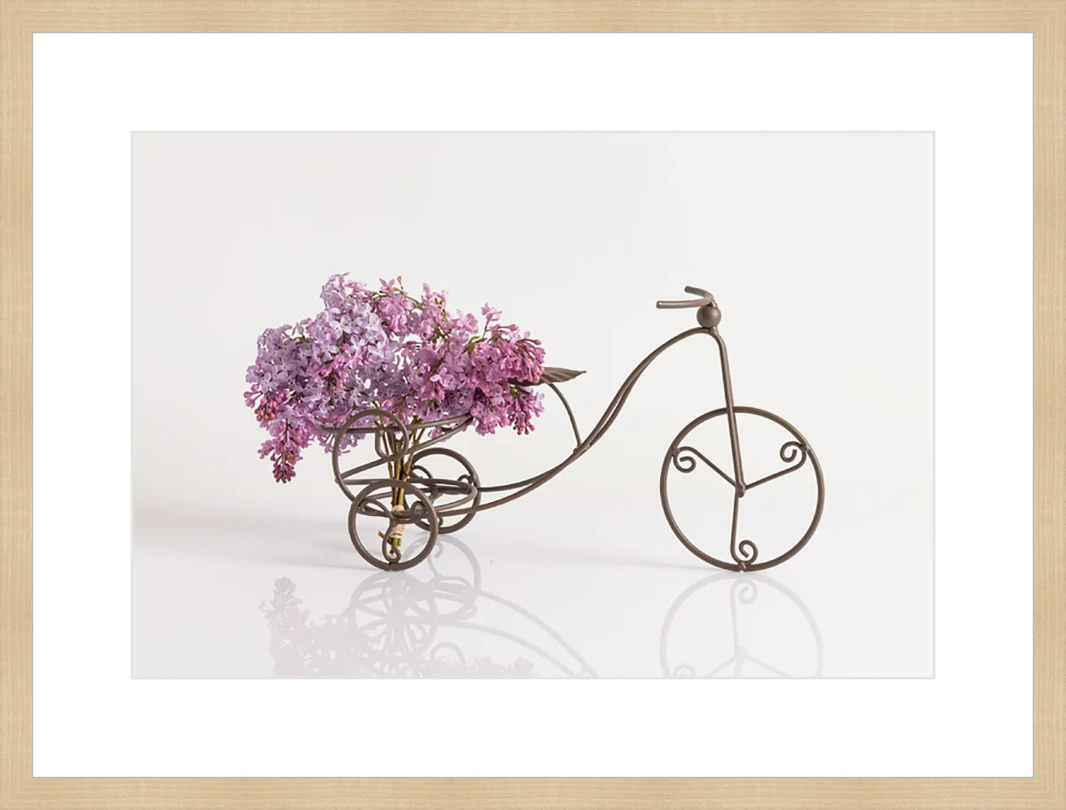 Bike with Flowers 2