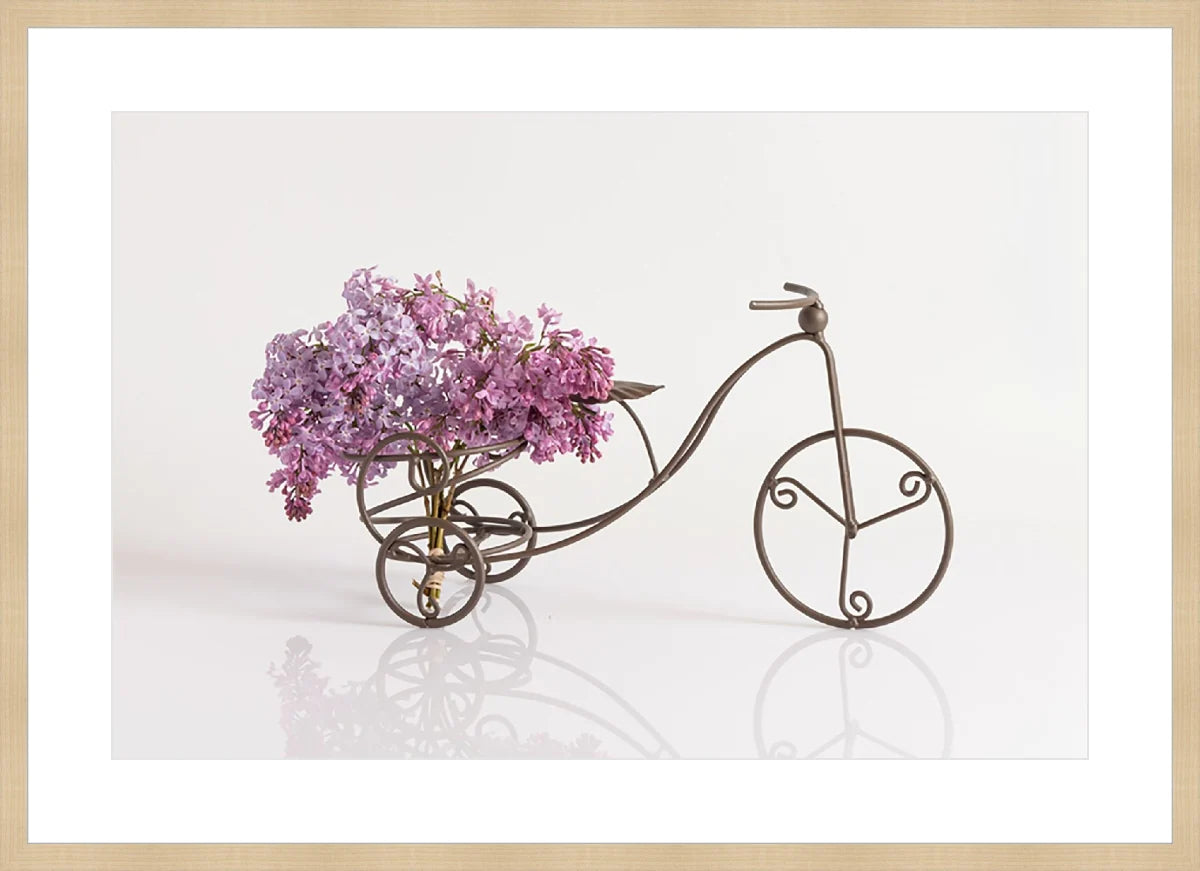 Bike with Flowers 2