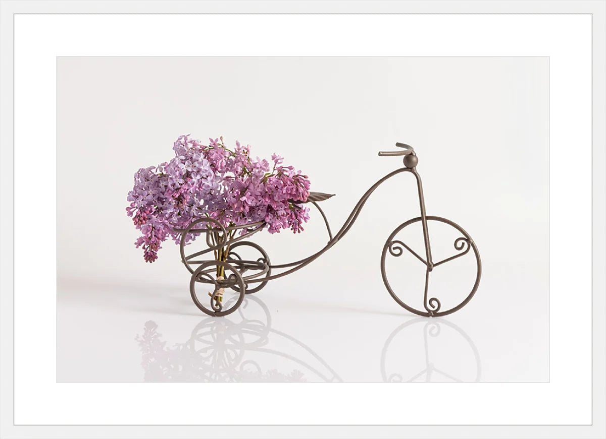 Bike with Flowers 2