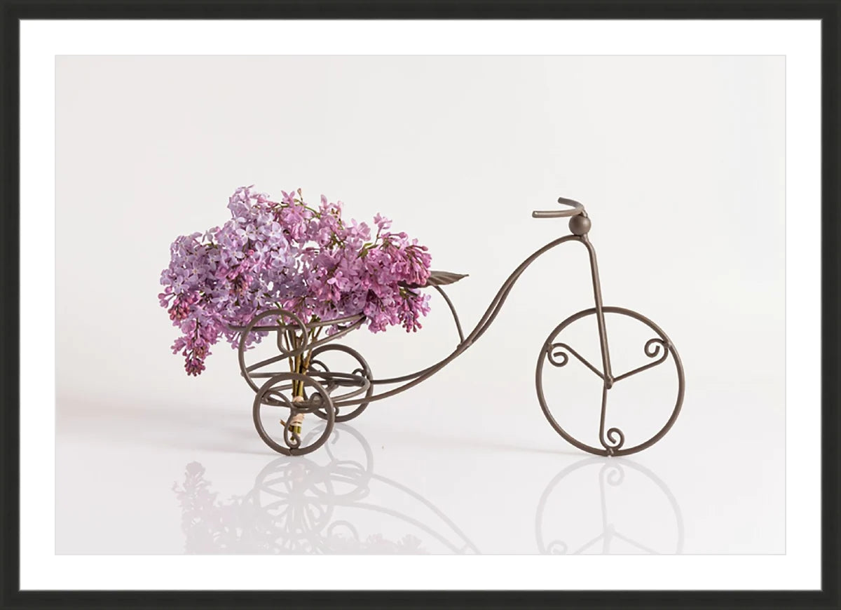 Bike with Flowers 2