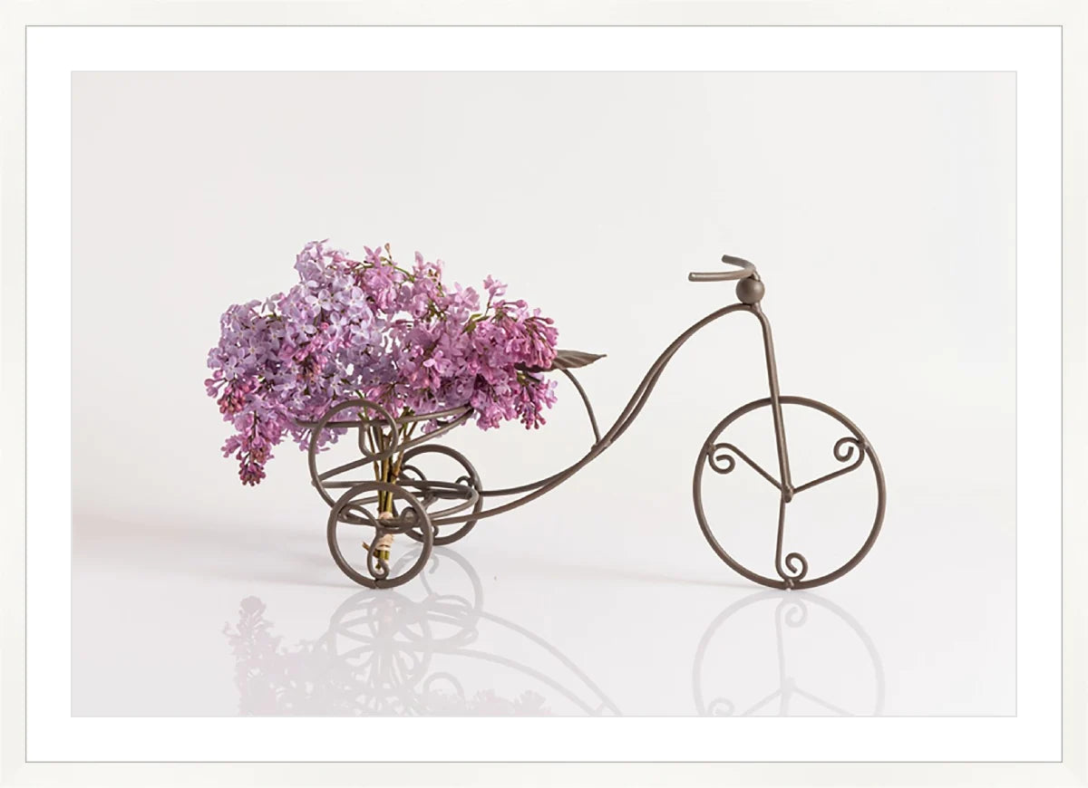 Bike with Flowers 2