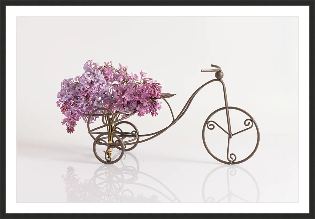 Bike with Flowers 2
