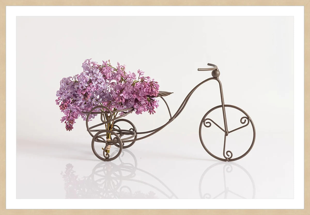 Bike with Flowers 2