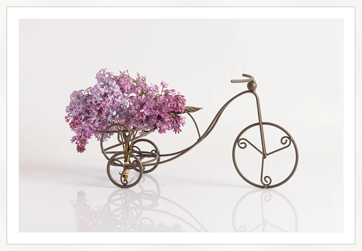 Bike with Flowers 2