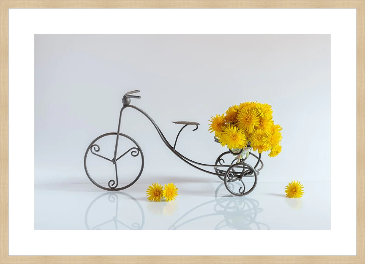 Bike with Flowers