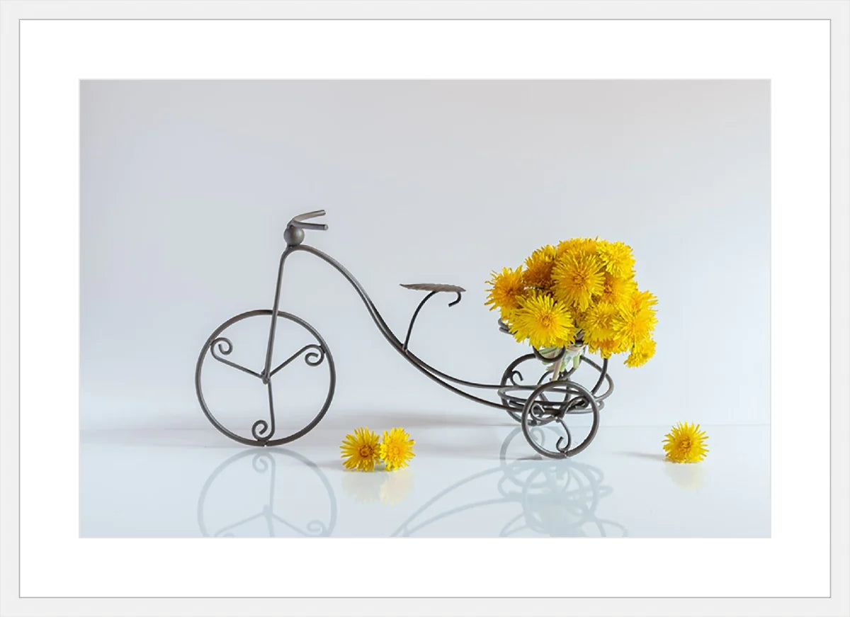 Bike with Flowers