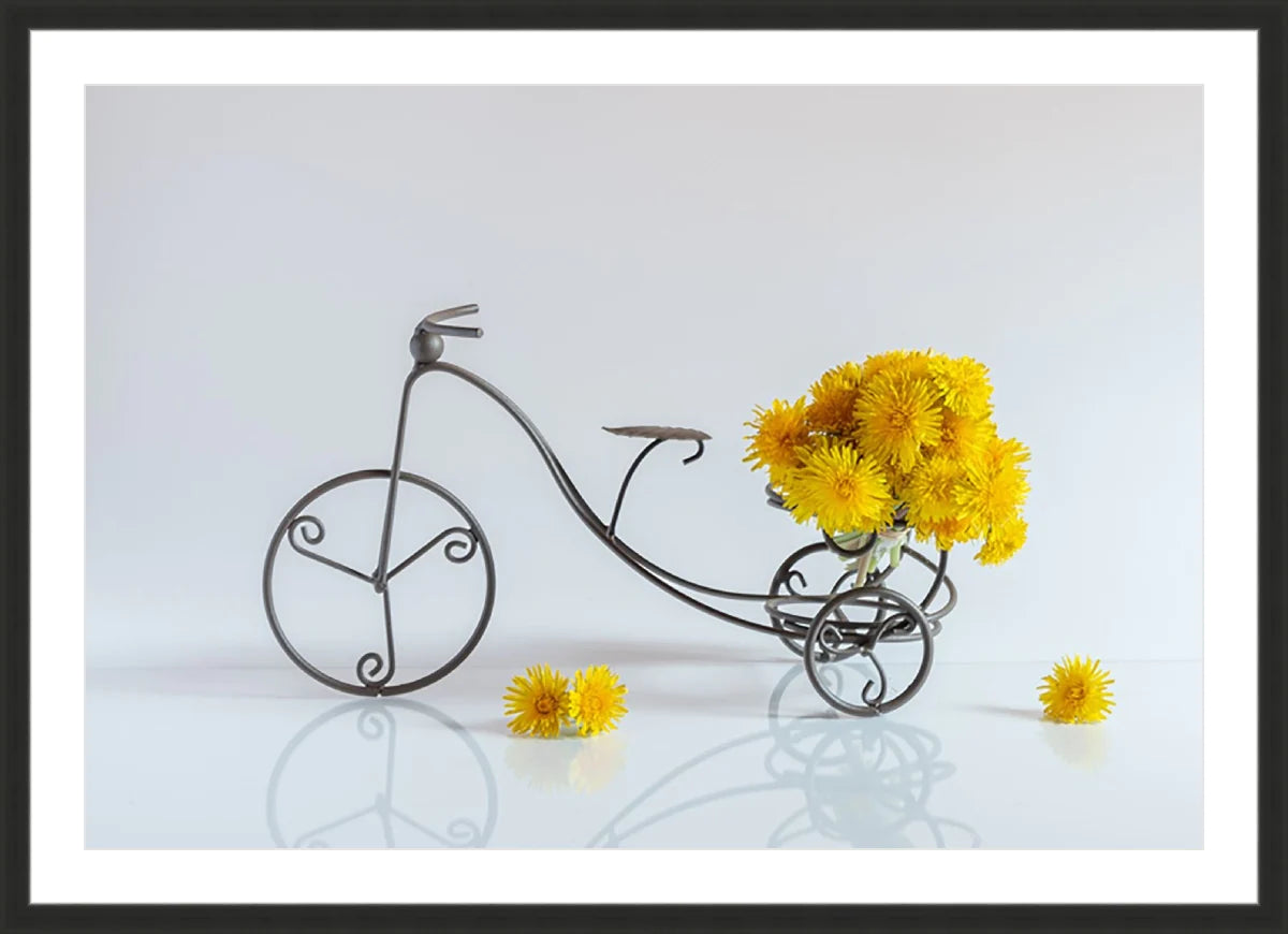 Bike with Flowers