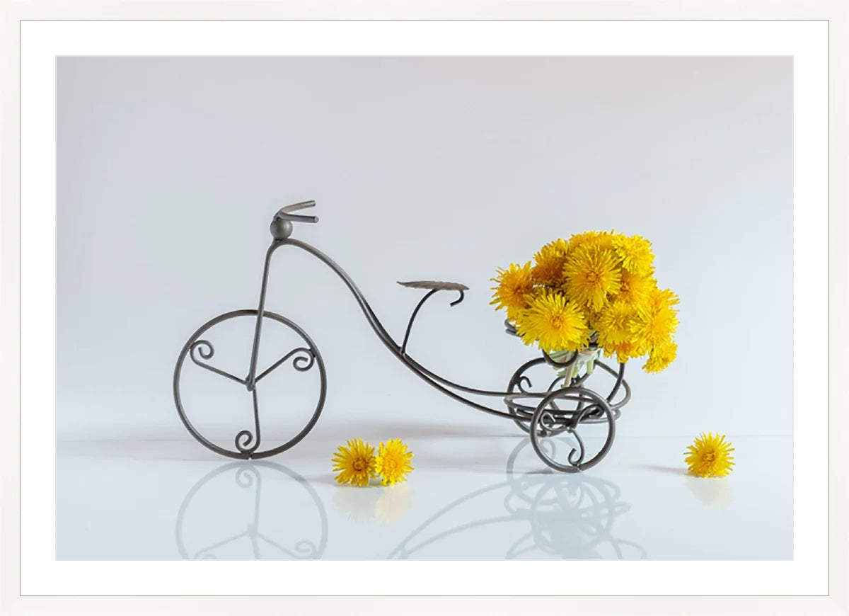 Bike with Flowers