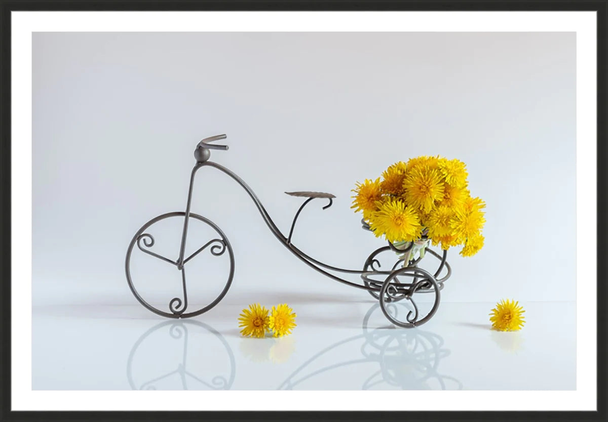 Bike with Flowers