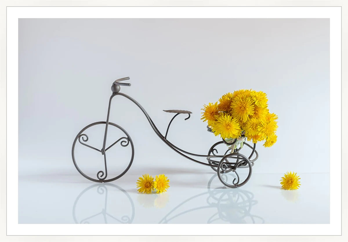 Bike with Flowers