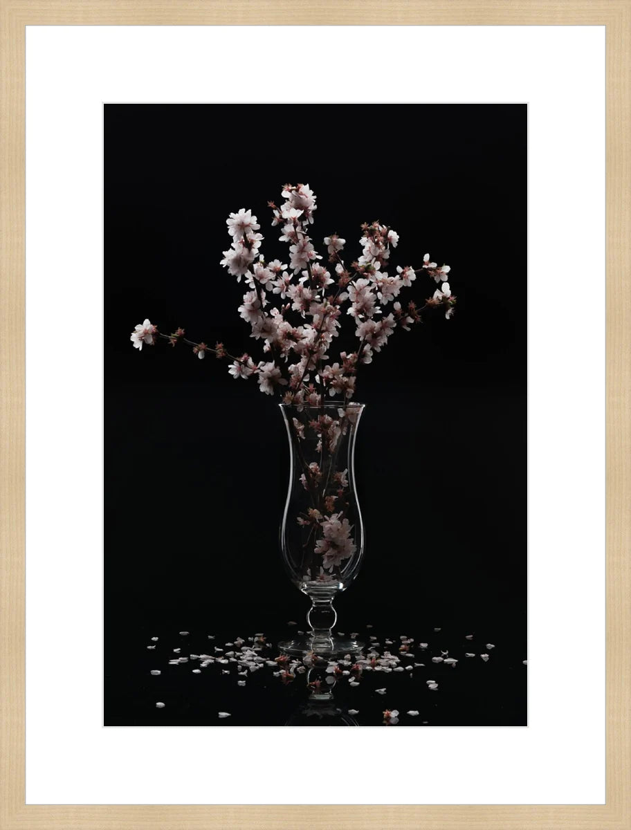 Cherry Blossom