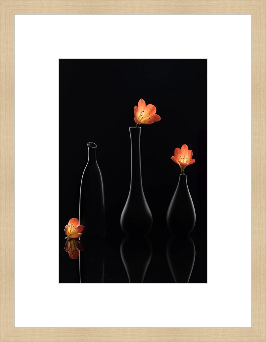 Clivia 1