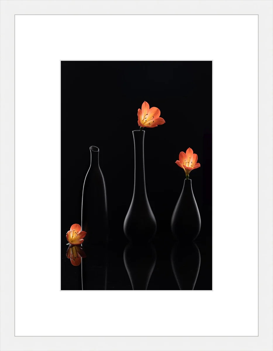 Clivia 1