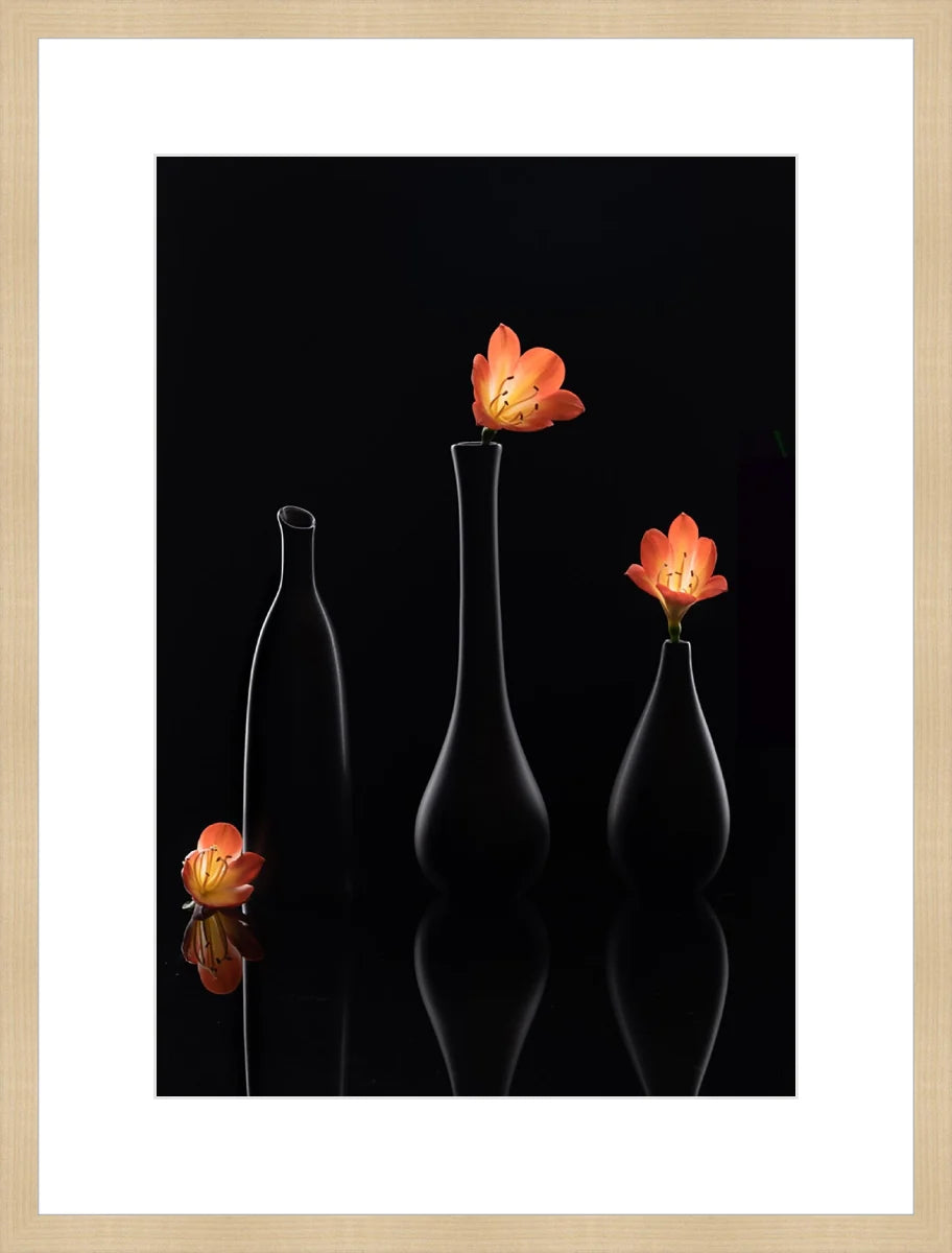 Clivia 1