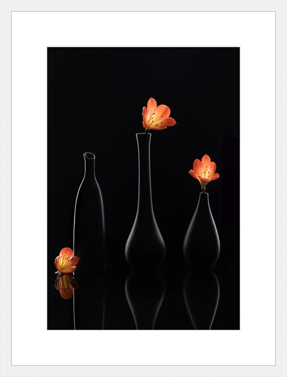 Clivia 1