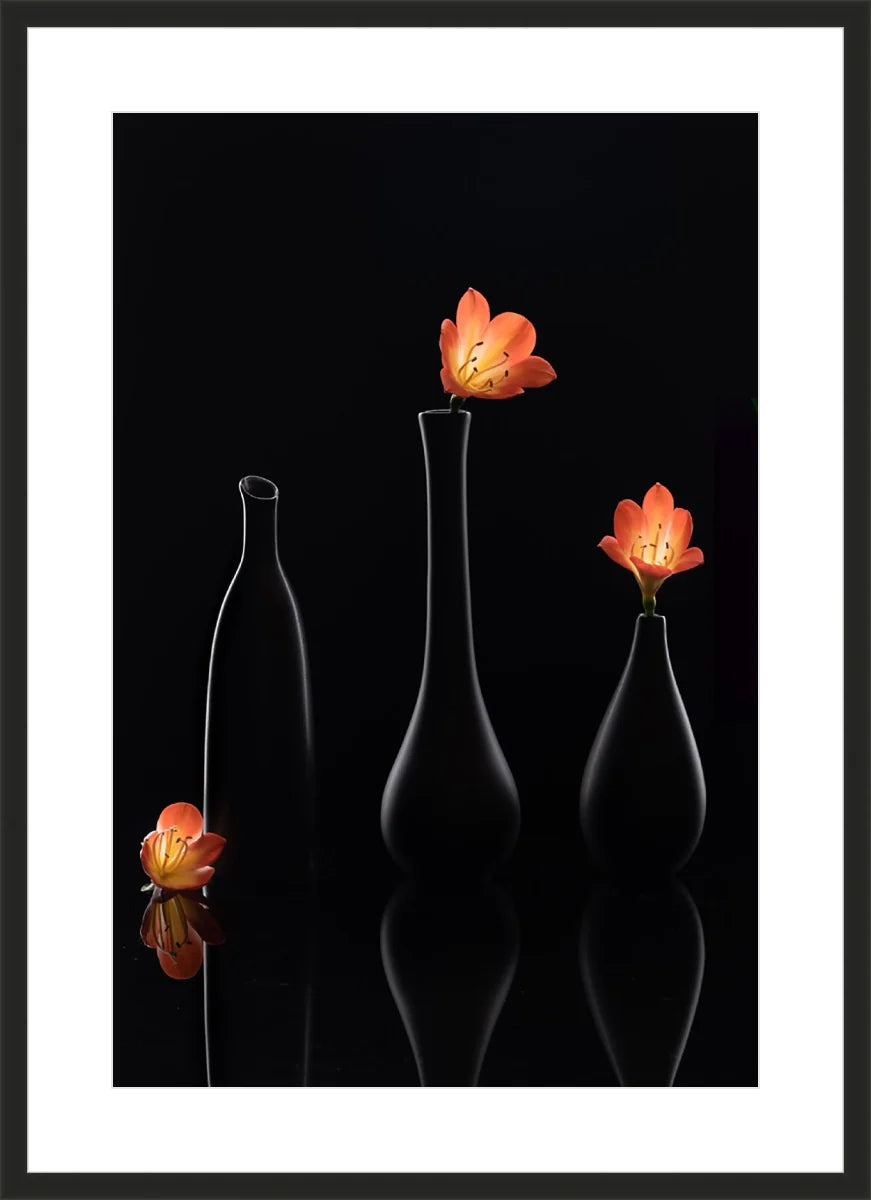 Clivia 1
