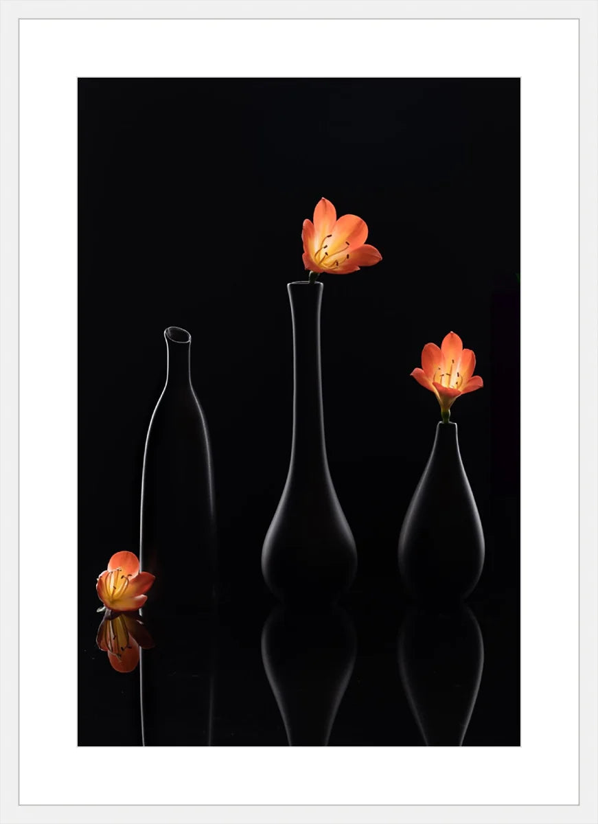 Clivia 1