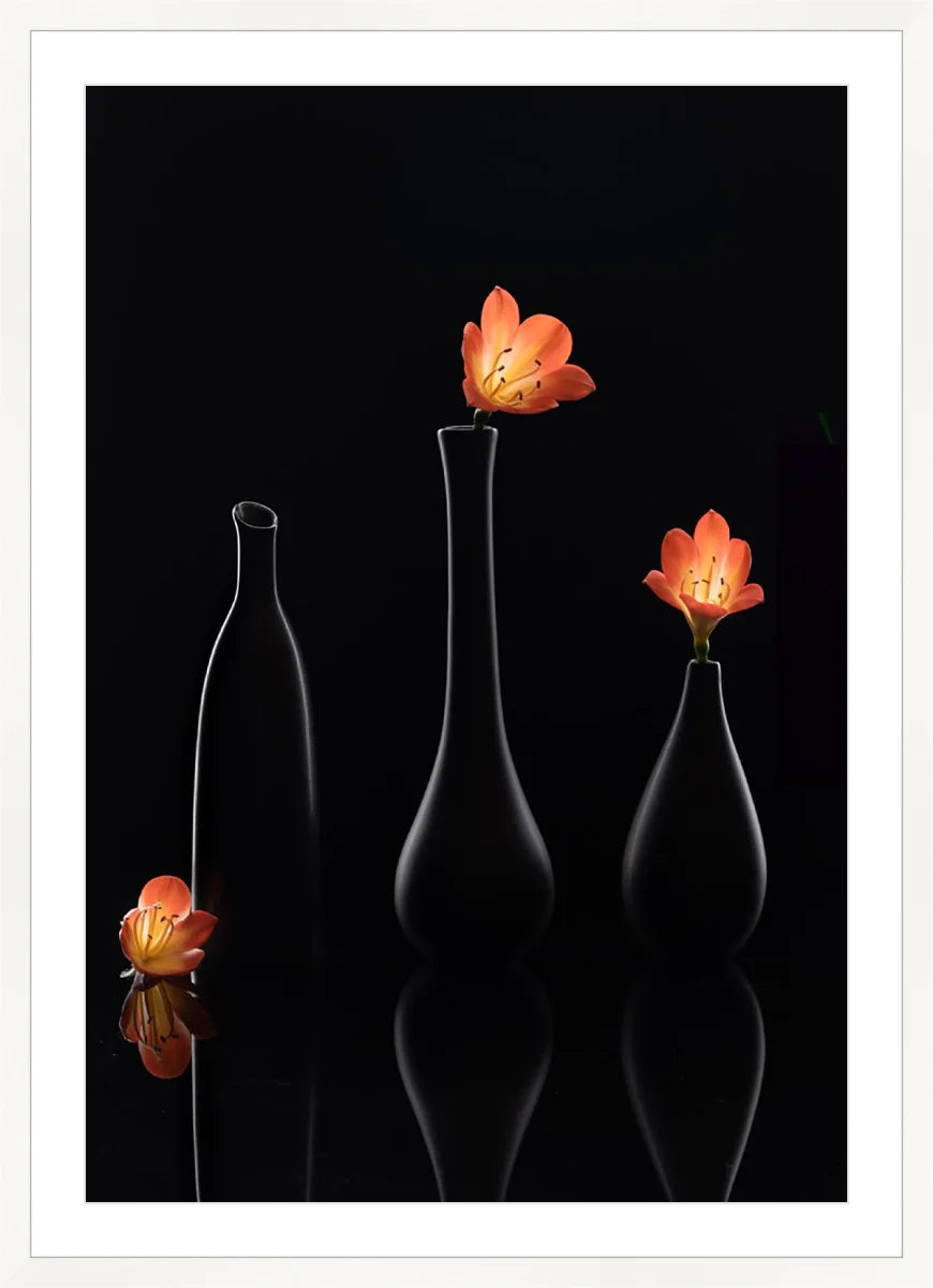 Clivia 1