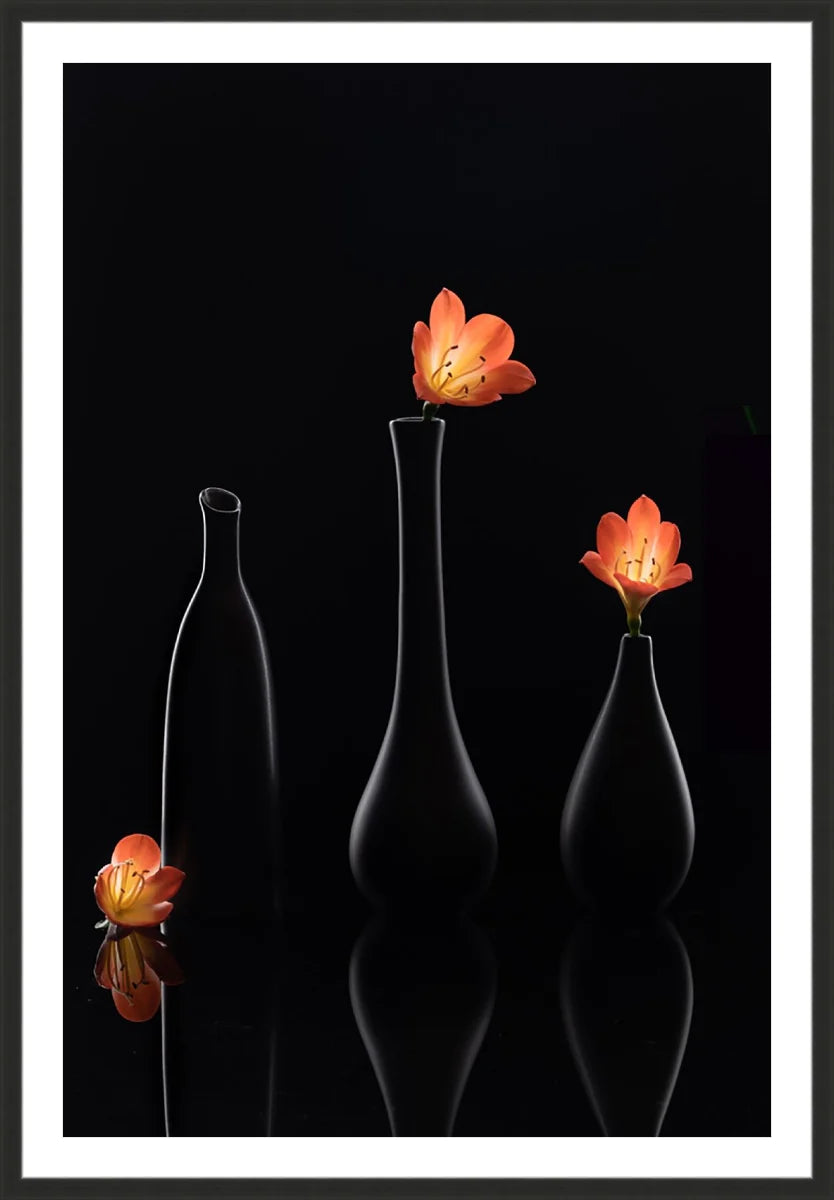 Clivia 1