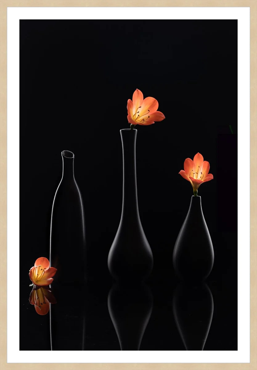 Clivia 1