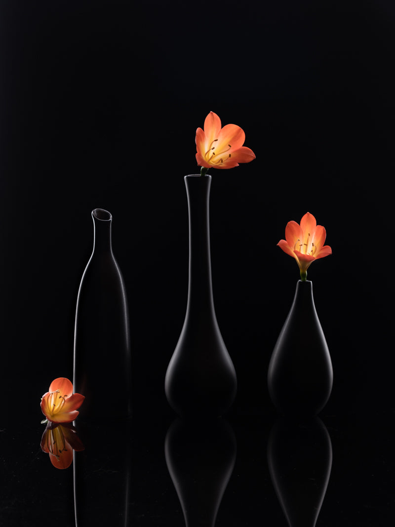 Clivia 1