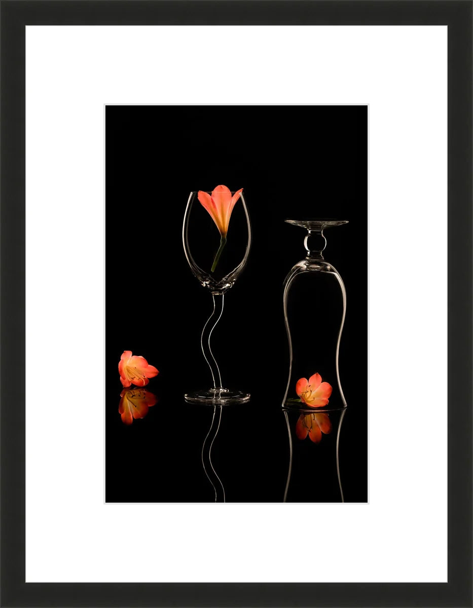 Clivia 2