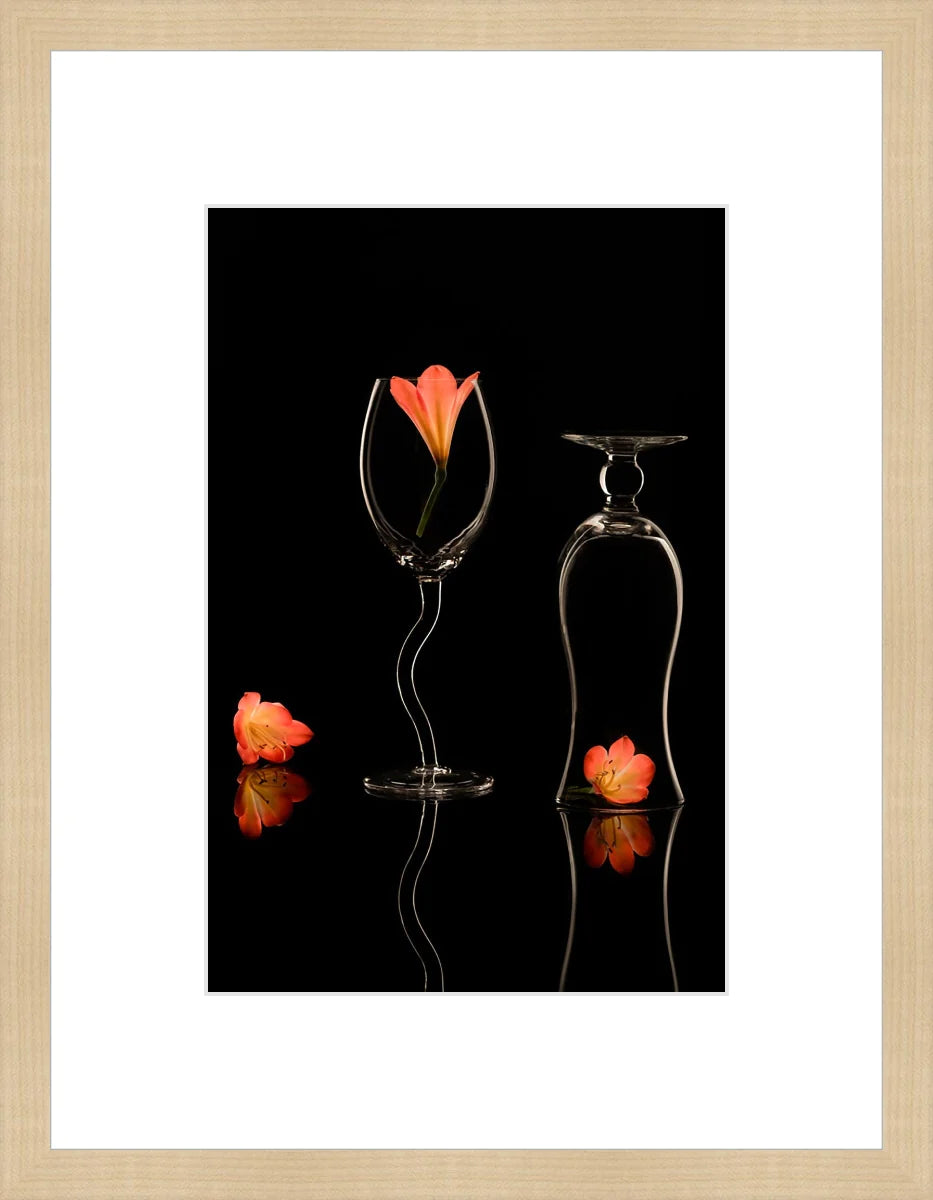 Clivia 2