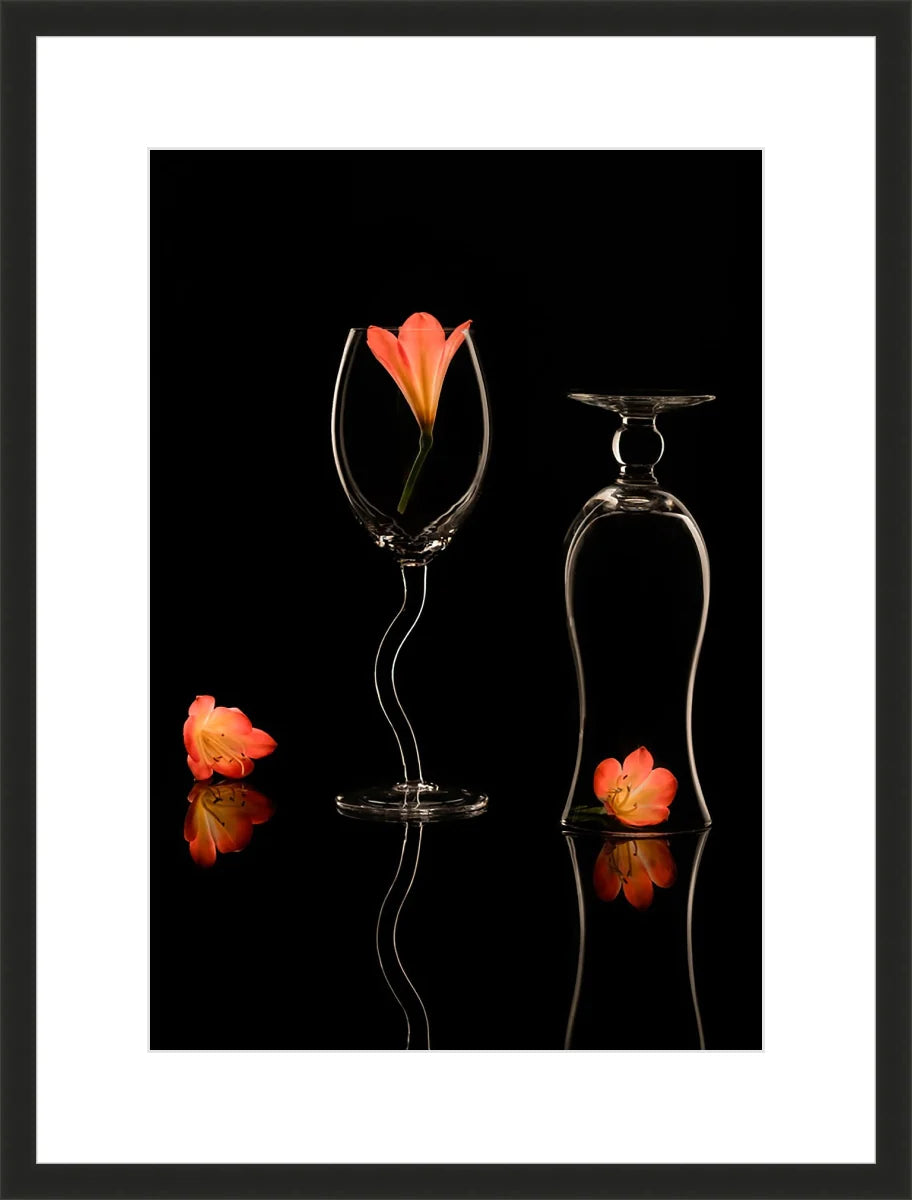 Clivia 2