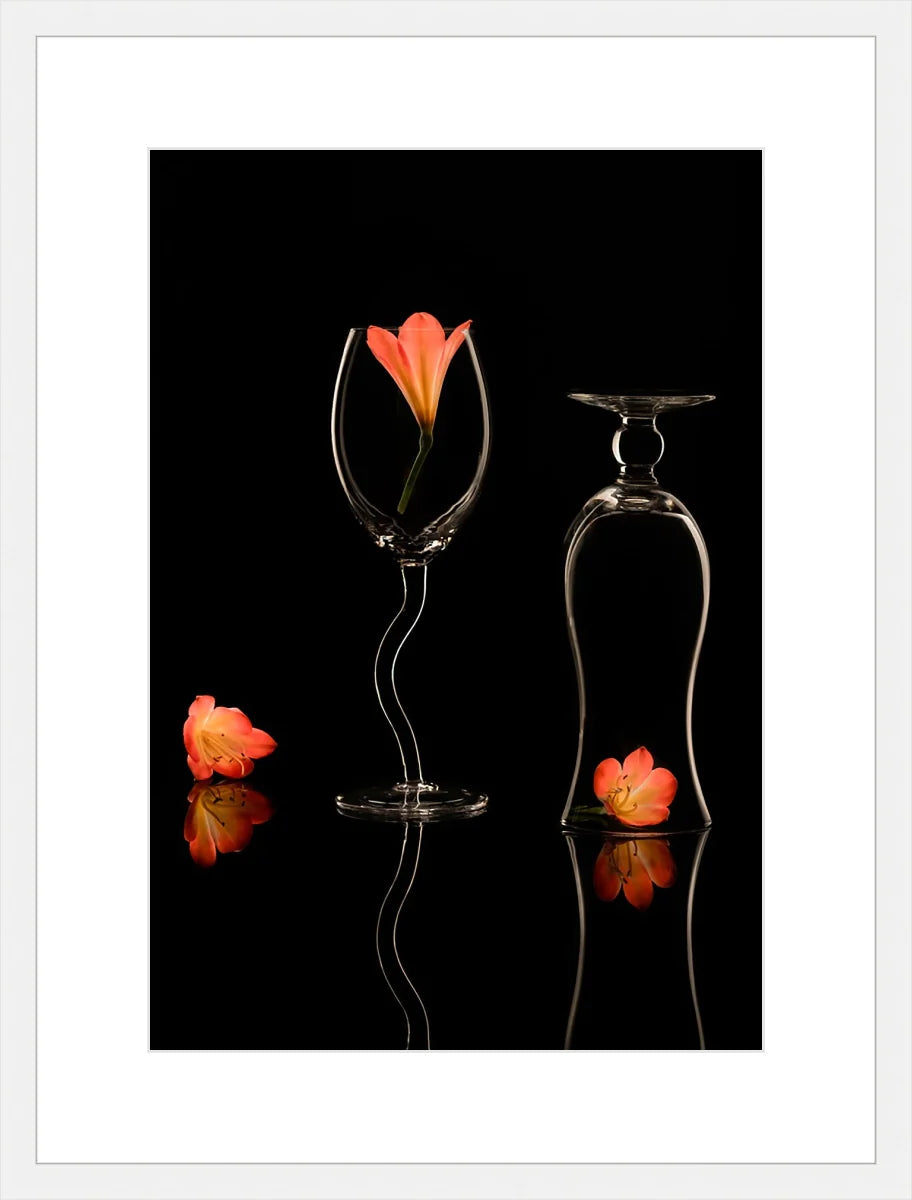 Clivia 2