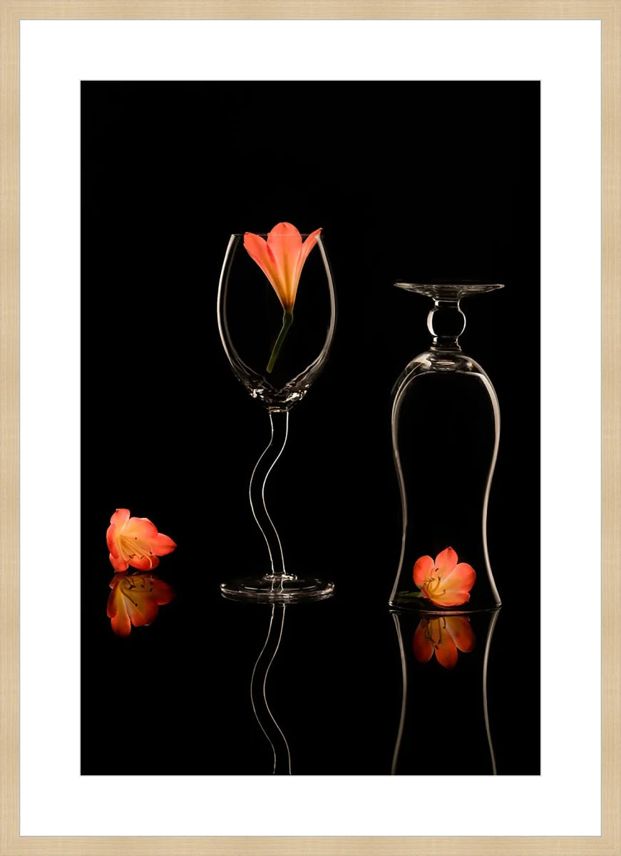 Clivia 2
