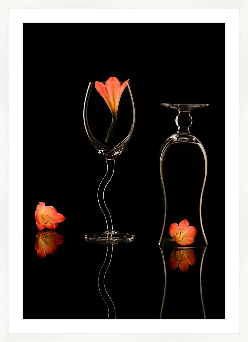 Clivia 2