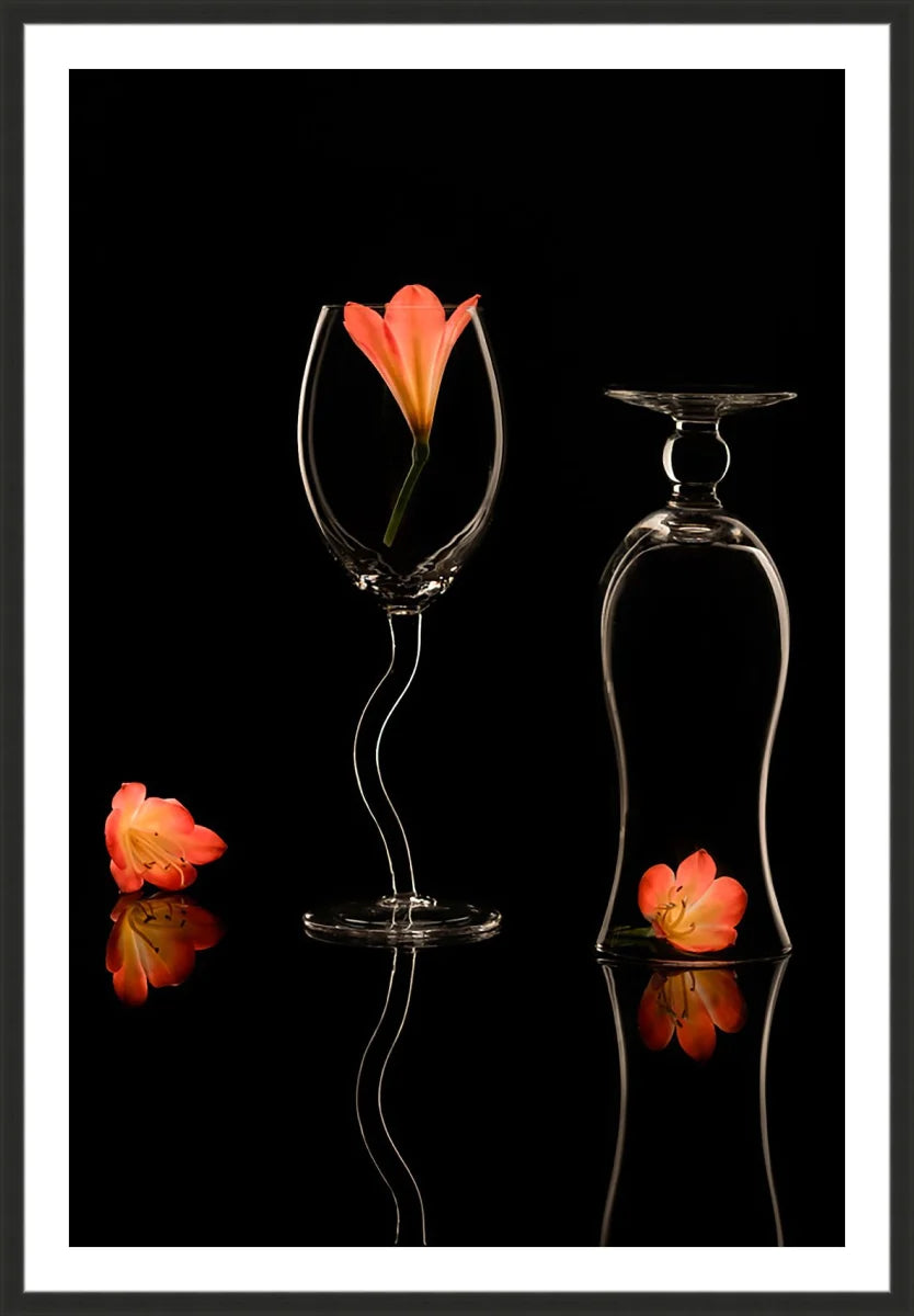 Clivia 2