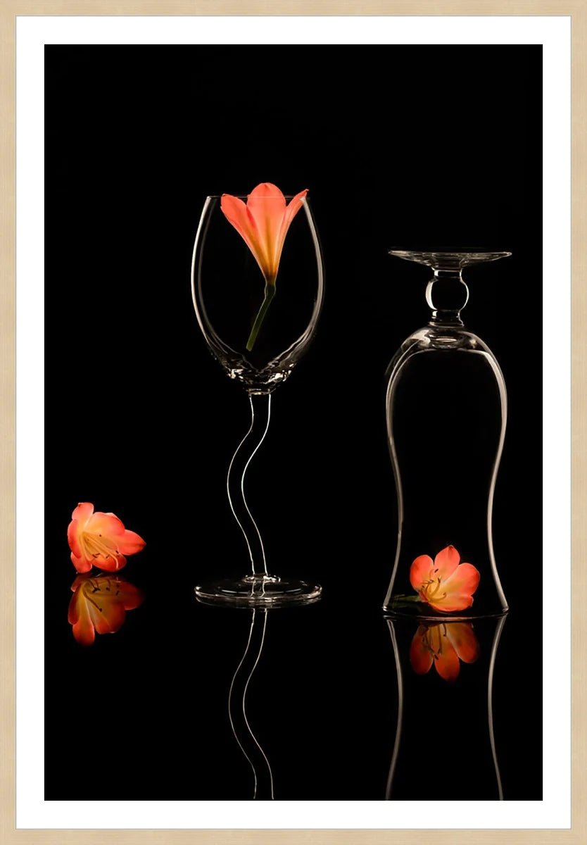 Clivia 2