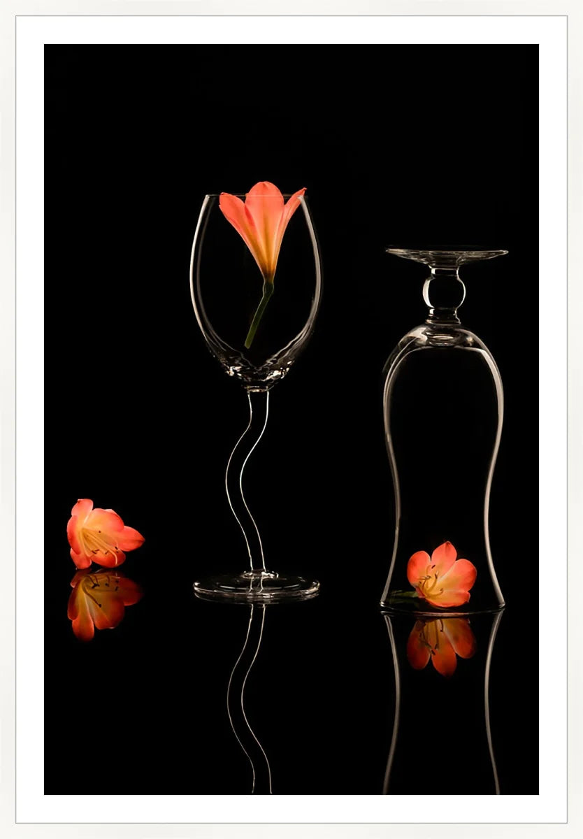 Clivia 2
