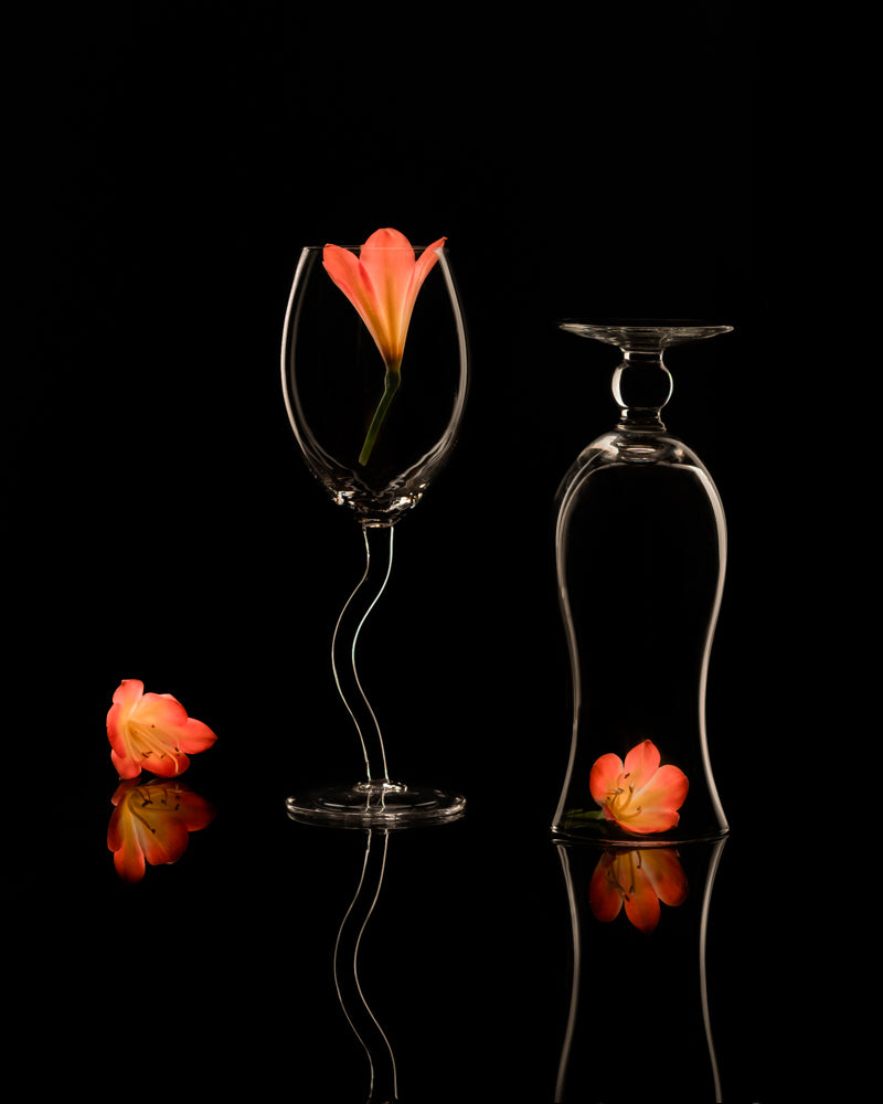 Clivia 2