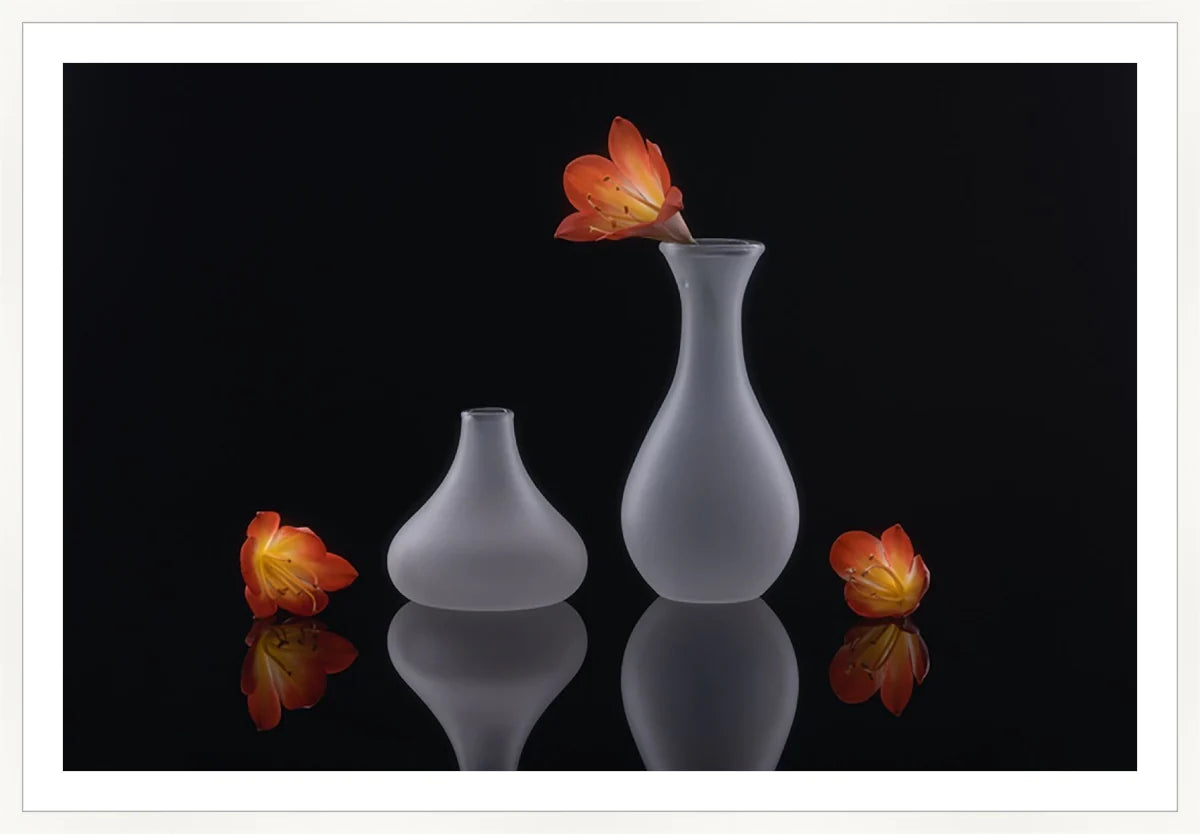 Clivia 3